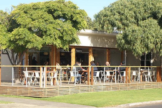 Ocean Grove VIC Tourism Noosa