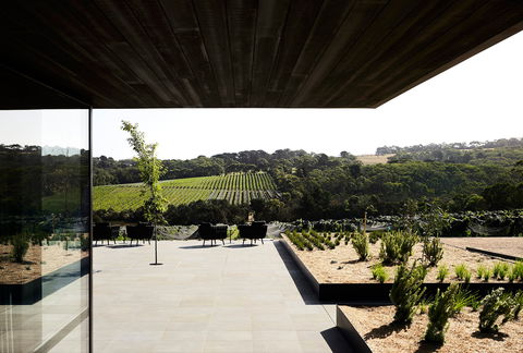 Jackalope Hotel - Tourism Noosa 3