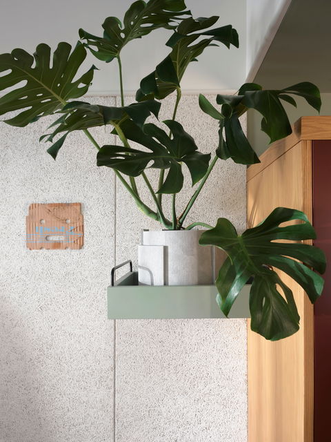 ACE Hotel Sydney - Tourism Noosa 0