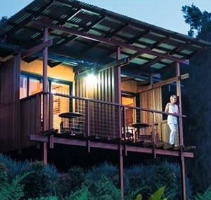 O'Reilly's Rainforest Guesthouse - Tourism Noosa 1