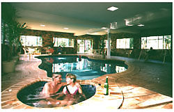 Chalet Swisse Spa - Tourism Noosa 2