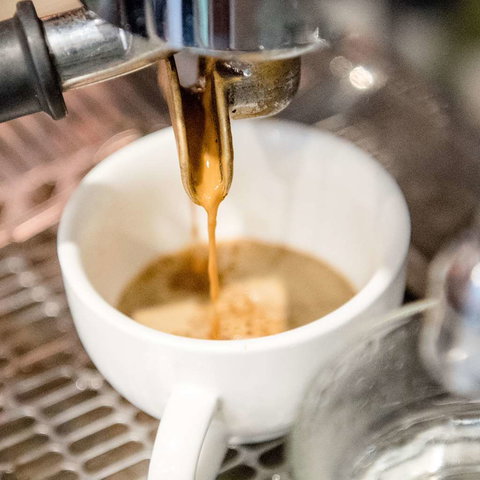 Pagoda Resort & Spa - Tourism Noosa 6