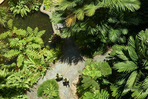 DoubleTree by Hilton Cairns - Tourism Noosa 2