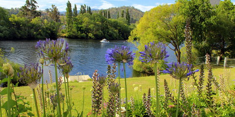 Woodbridge on the Derwent - Tourism Noosa 3