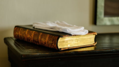 Woodbridge on the Derwent - Tourism Noosa 4