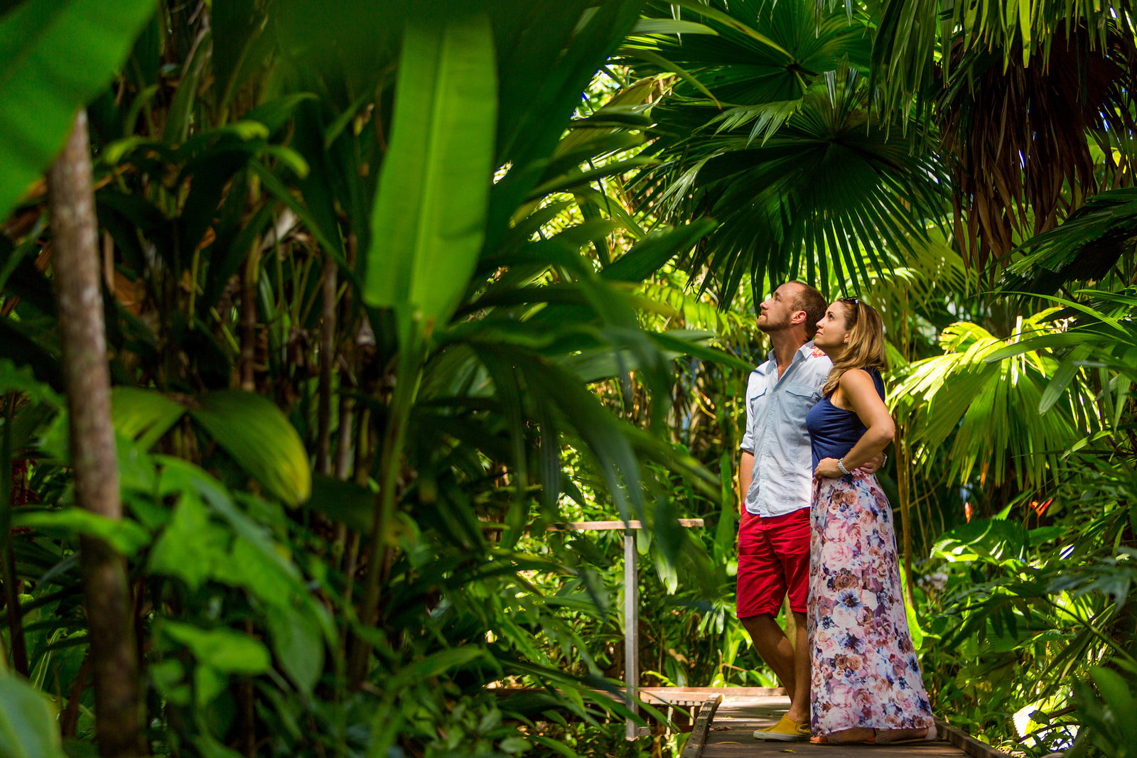 Cairns North QLD Tourism Noosa