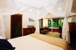 Daintree Eco Lodge & Spa - Tourism Noosa 1