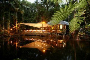 Daintree Eco Lodge & Spa - Tourism Noosa 2