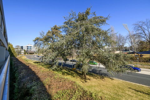 Accommodate Canberra - The Summit - Tourism Noosa 5