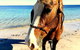 Lure Bed And Breakfast - thumb 15