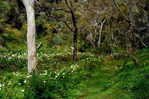 Lure Bed And Breakfast - Tourism Noosa 17
