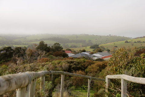 Lure Bed And Breakfast - Tourism Noosa 19