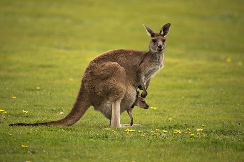 Lure Bed And Breakfast - Tourism Noosa 20