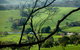 Lure Bed And Breakfast - thumb 21
