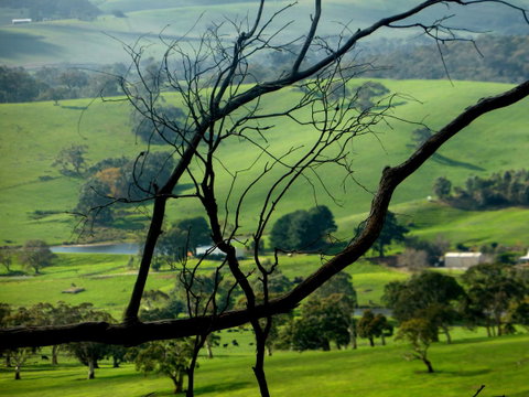 Lure Bed And Breakfast - Tourism Noosa 21
