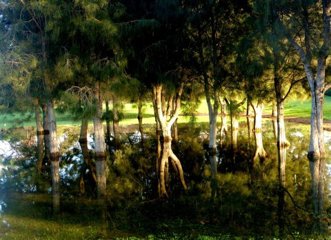 Lure Bed And Breakfast - Tourism Noosa 18