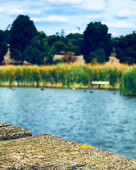 The Lake House Retreat - Tourism Noosa 21