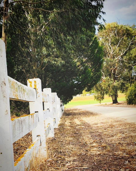 The Lake House Retreat - Tourism Noosa 28