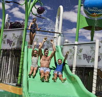 Discovery Parks  Barossa Valley - Tourism Noosa
