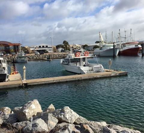 Port Lincoln Shark Apartment 1 - Tourism Noosa 14