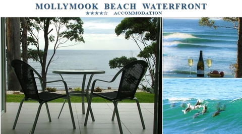 Mollymook Beach Waterfront - Tourism Noosa 1