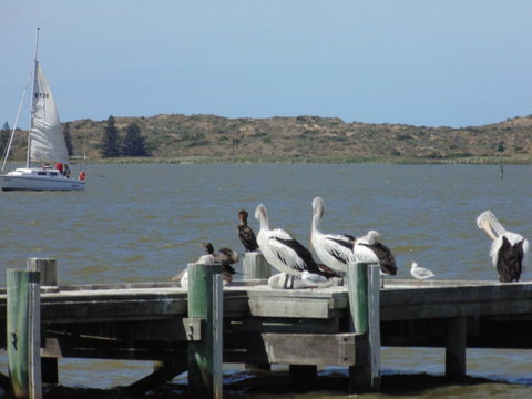 Baronet B & B - Tourism Noosa 20