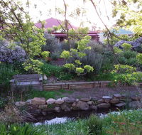 Frog Song at Willunga - Tourism Noosa