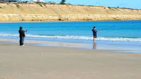 Eastern Breeze - Tourism Noosa 36
