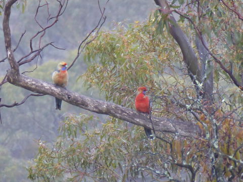Molly's Chase - Tourism Noosa 13
