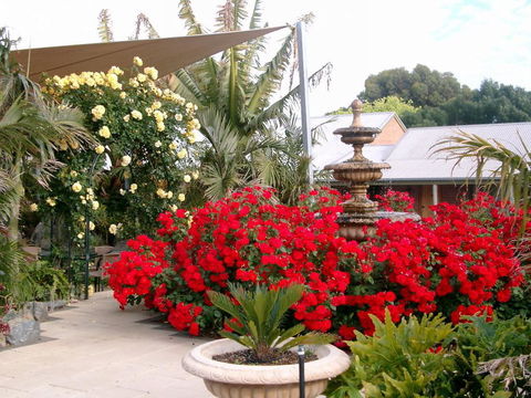 McLaren Vale Motel & Apartments - Tourism Noosa 35