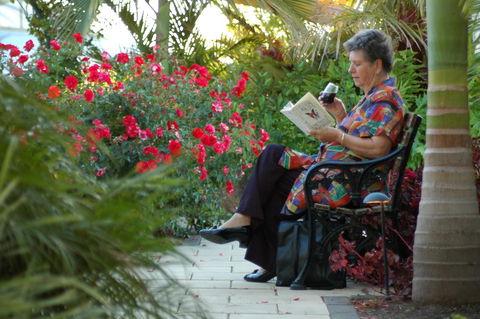 McLaren Vale Motel & Apartments - Tourism Noosa 22