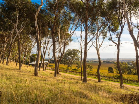 Shadow Creek McLaren Vale - Tourism Noosa 5