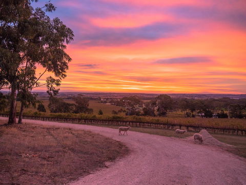Shadow Creek McLaren Vale - Tourism Noosa 24