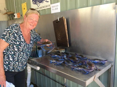 Ceduna Foreshore Caravan Park - Tourism Noosa 28