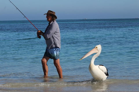 Ceduna Foreshore Caravan Park - Tourism Noosa 21