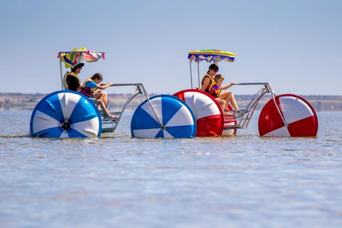 Discovery Parks - Lake Bonney - Tourism Noosa 26