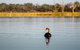 Discovery Parks - Lake Bonney - thumb 36