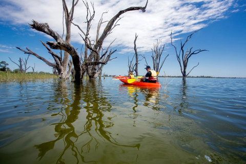 Discovery Parks - Lake Bonney - Tourism Noosa 27
