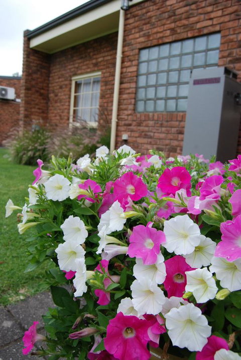 Arkana Motor Inn & Terrace Apartments - Tourism Noosa 40