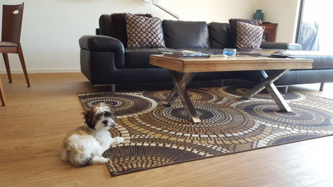 Seagrass Villas Normanville - Tourism Noosa 21
