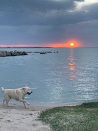 Book Meningie Accommodation Vacations Tourism Noosa Tourism Noosa