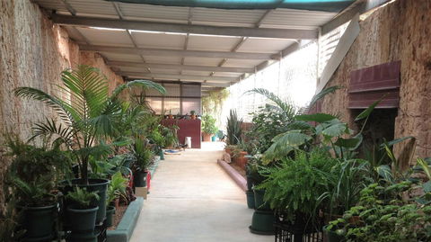 Underground Gem - Tourism Noosa 23