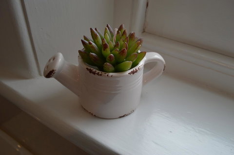 Two Cow Cottage Bed & Breakfast - Tourism Noosa 21