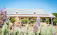Barossa Vineyard Cottages - thumb 3