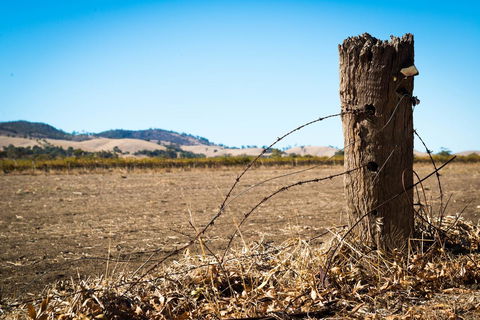 Barossa Vineyard Cottages - Tourism Noosa 5