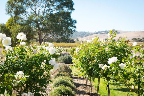 Barossa Vineyard Cottages - Tourism Noosa 1