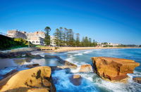 Book Terrigal Accommodation Vacations Tourism Noosa Tourism Noosa