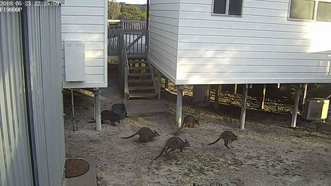 White Sands Holiday Retreat - Tourism Noosa 13