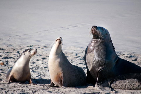 Admirals Inn - Tourism Noosa 39