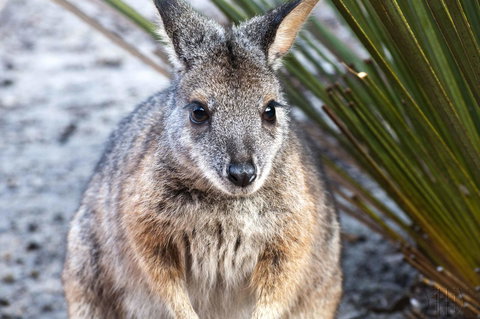Admirals Inn - Tourism Noosa 32